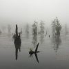 دریاچه ارواح در مه