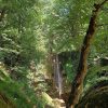آبشار بهشت سوادکوه