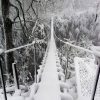 پل معلق در برف