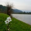 دریاچه کامی کلا در فصل بهار
