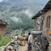 روستای زیبای ناتر مرزن آباد چالوس