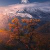 قله دماوند در پاییز
